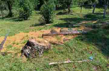 Pinhão - Polícia Ambiental aplica multas e embarga área por infrações ambientais